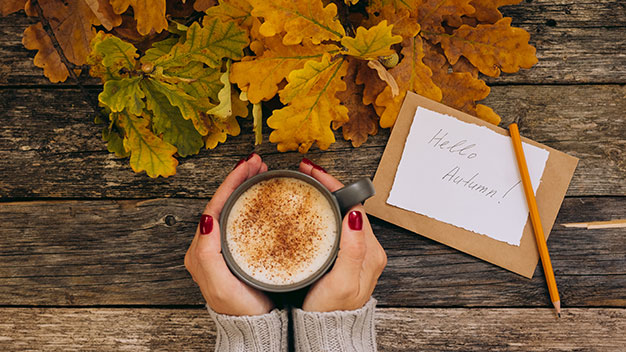 L'Automne, une saison pas monotone !