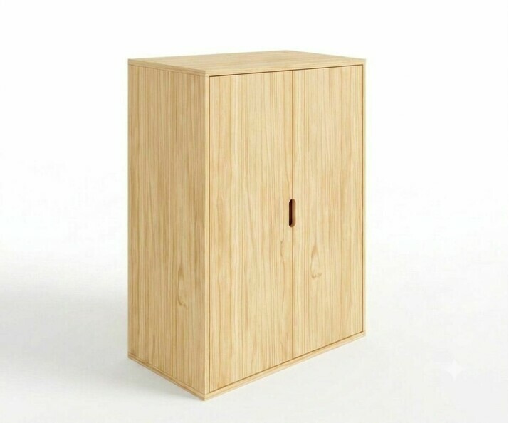 Armoire de rangement brut + portes Armoire de rangement brut + portes